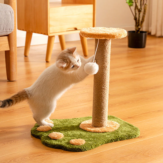 Cat Scratcher