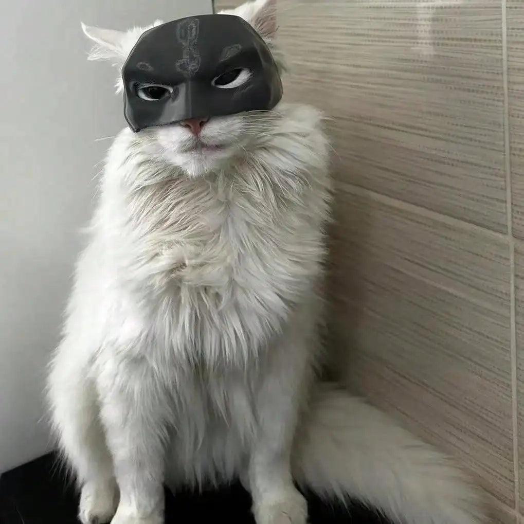 The BatCat Mask