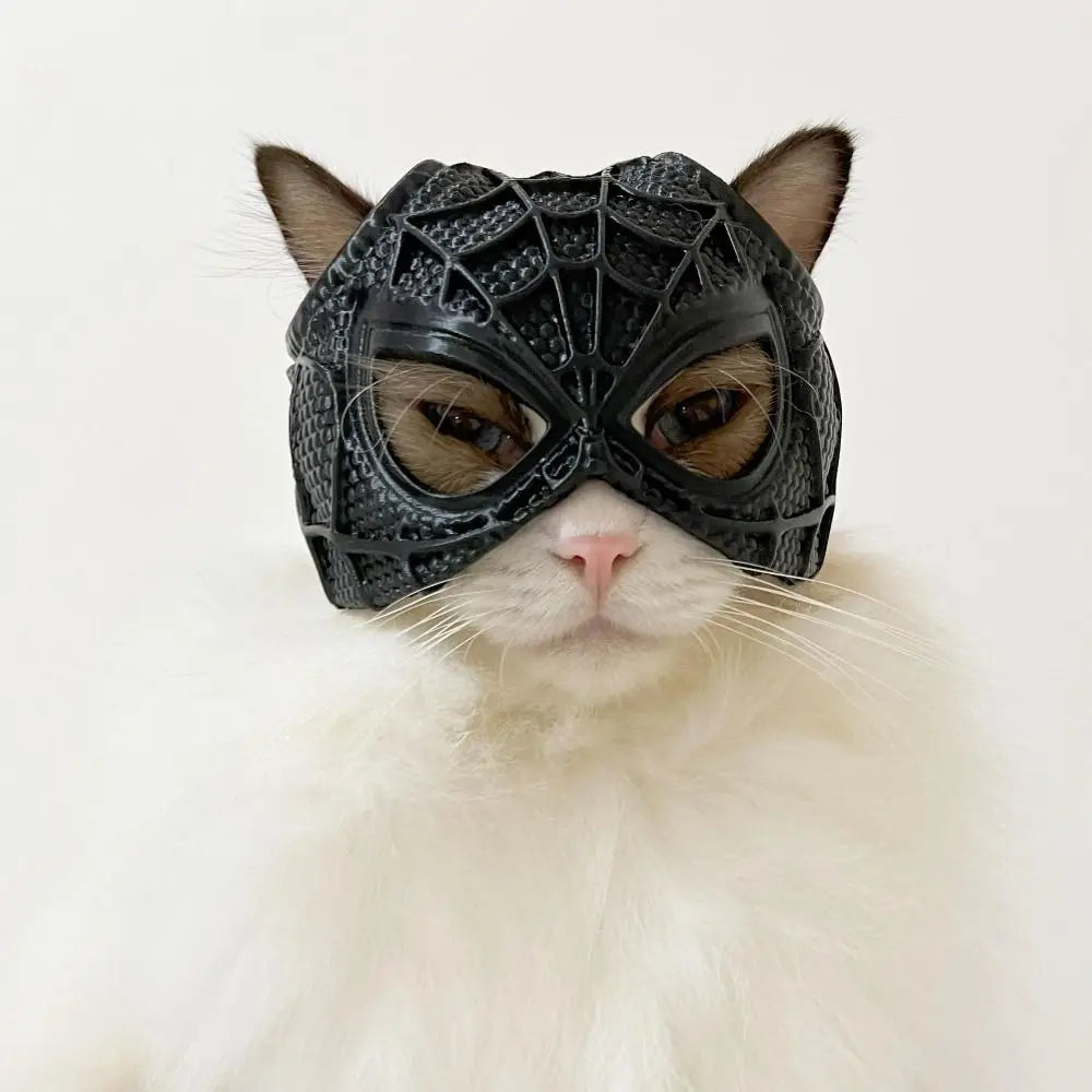 SpiderCat Mask