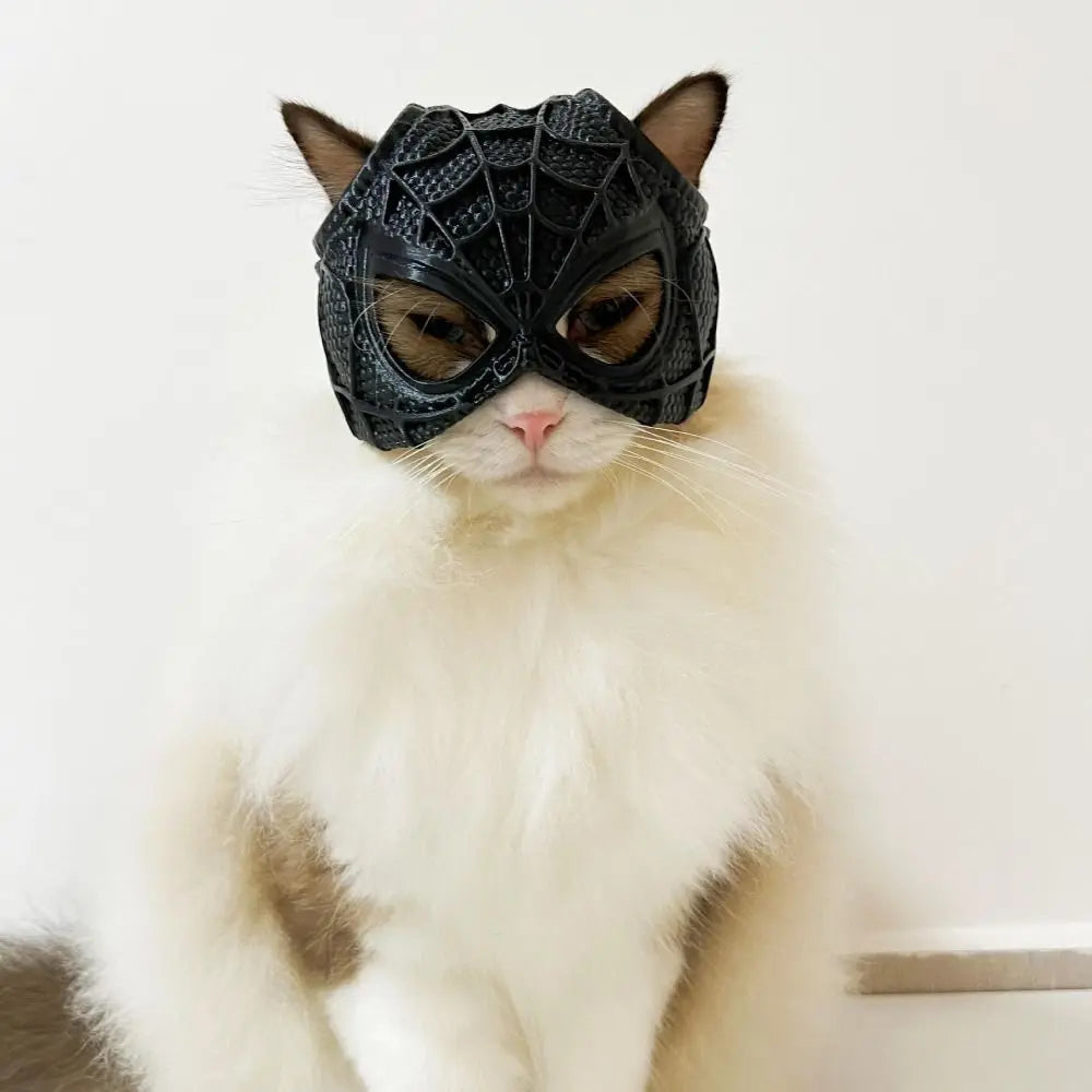 SpiderCat Mask