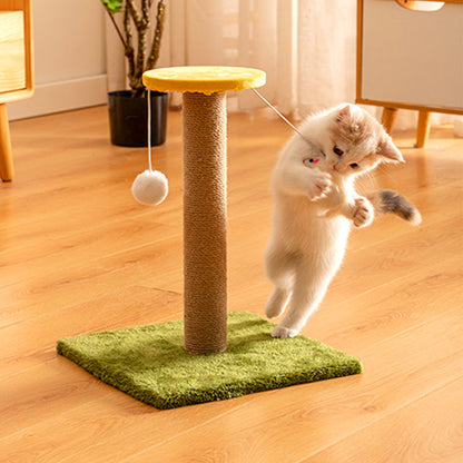 Cat Scratcher